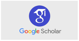 Googe Scholor
